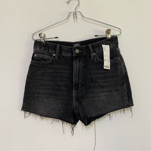 Urban Outfitters BDG Highwaist Distressed Jean Shorts NWT 27
